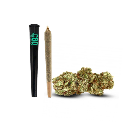 Fleur de CBD : Pré-Roll White Widow