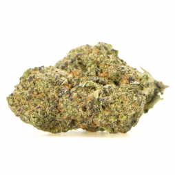 Fleur de CBD : Cali CBD