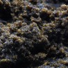 Hash Résine CBD : Black Hash