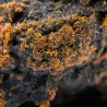 Hash Résine CBD : Libanais Rouge (Exclusivité)