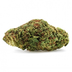 Fleurs de CBD+ Zkittlez 35 % | CBDPasChère