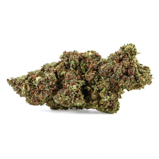 Fleur de CBD : Northen Light