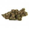 Fleur de CBD : Northen Light
