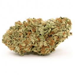 Fleur de CBD : Sunset Sherbet CBD