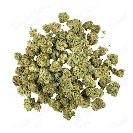 Fleur de CBD : Small Bud – Cheetah Piss