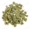 Fleur de CBD : Small Bud – Cheetah Piss