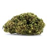 Fleurs de CBD Indoor Girl Scout Cookies 18 % | CBDPasChère