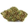 Fleurs de CBD Mango Kush 20 % | CBDPasChère