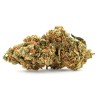 Fleurs de CBD Blueberry Diesel 24 % | CBDPasChère