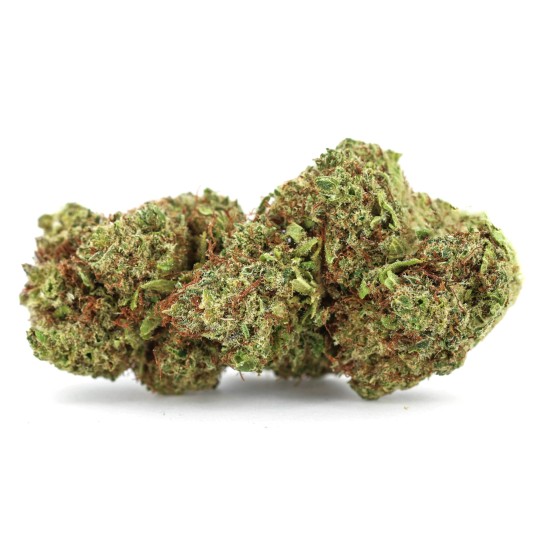 Fleurs de CBD Orangello 25 % | CBDPasChère