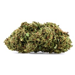 Fleurs de CBD Super Lemon 2.0 | CBDPasChère