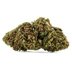 Fleurs de CBD Orange Bud 21 % | CBDPasChère