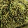 Fleurs de CBD Green Velvet 18 % | CBDPasChère
