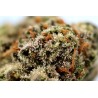 Fleurs de CBD Mini Buds Indoor | CBD Pas Chère