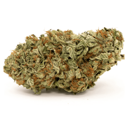 Fleurs de CBD Cranberry Punch | CBDPasChère