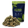 Fleurs de CBD Baby Shrek Small Buds 16 % | CBDPasChère