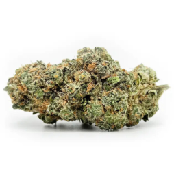 Fleurs de CBD Cannabliss 12 % | CBDPasChère