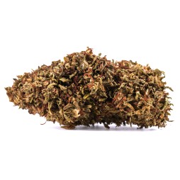 Bubba Kush – Fleur de CBD 14% | CBD Pas Chère