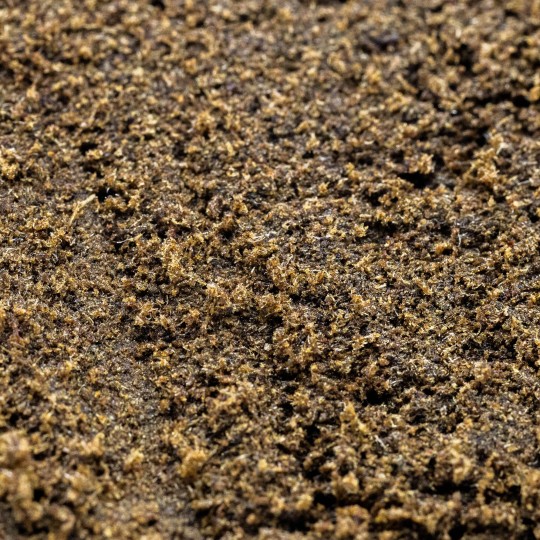 Hash Marocain - 5G Offert