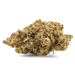 Fleurs de CBD Remedy 11 % | CBDPasChère