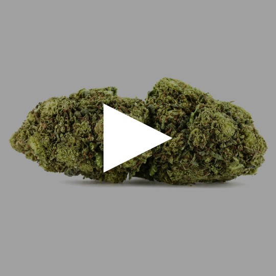 Fleurs de CBD Green Velvet 18 % | CBDPasChère