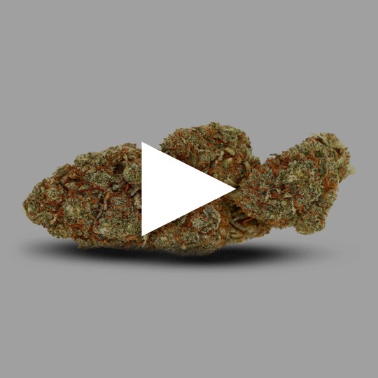 Fleurs de CBD OG Kush 19 % | CBDPasChère