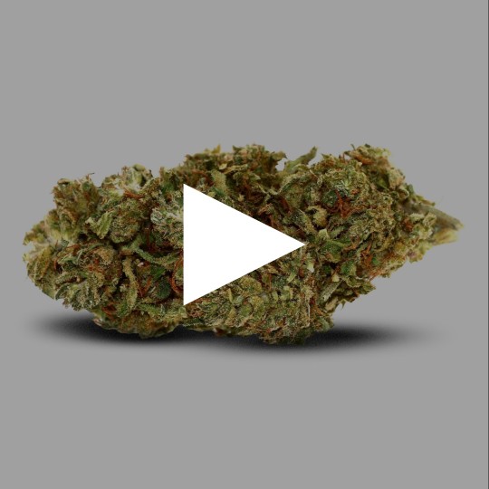 Fleurs de CBD Valentine Cake 14 % | CBDPasChère