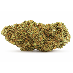 Tropical Haze CBD 11%  | CBD PAS CHÈRE