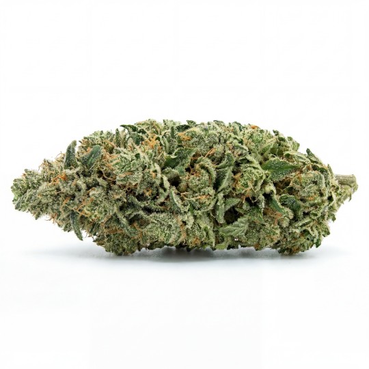 Sour Tangie 10% CBD pas chère | CBD PAS CHERE