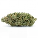 Fleurs de CBD Sour Tangie | CBDPasChère