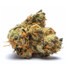 100G OFFERTS