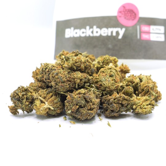 BLACKBERRY – CBD BRETON Fleur CBD | CBD Pas Chère