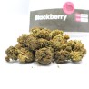 BLACKBERRY – CBD BRETON Fleur CBD | CBD Pas Chère
