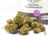 BOTADREAM – CBD BRETON Fleur CBD 9,25 % | CBD Pas Cher