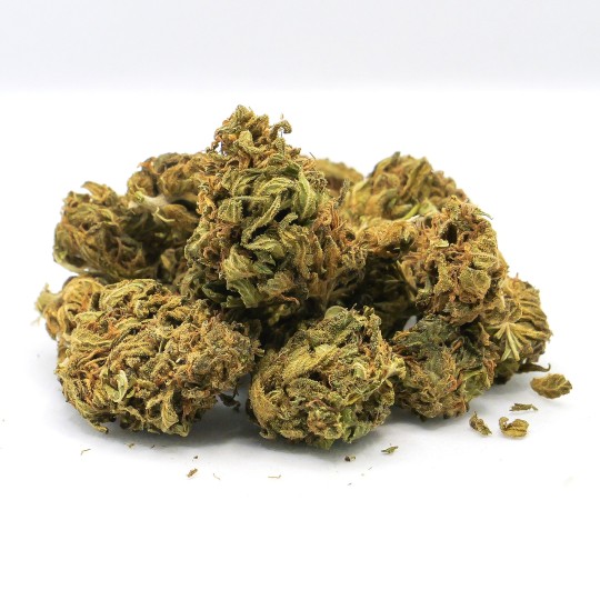 BOTADREAM – CBD BRETON Fleur CBD 9,25 % | CBD Pas Cher