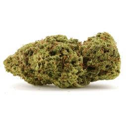 Durban Poison CBD | Acheter CBD+ Pas Cher — CBDPasChère420