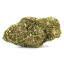 Harlequin Cryo CBD 19% | Fleur Indoor Premium — CBDPasChère